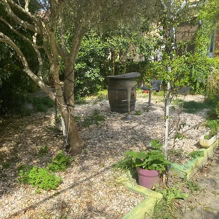Le Jardin De Zahra Gasthuis *